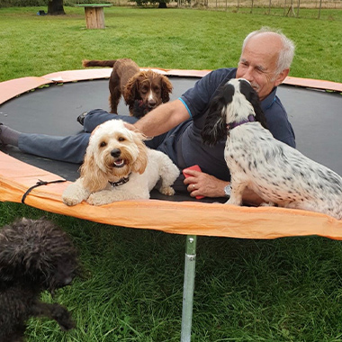 Nick, Dog day care in Orpington, Tonbridge and Sevenoaks