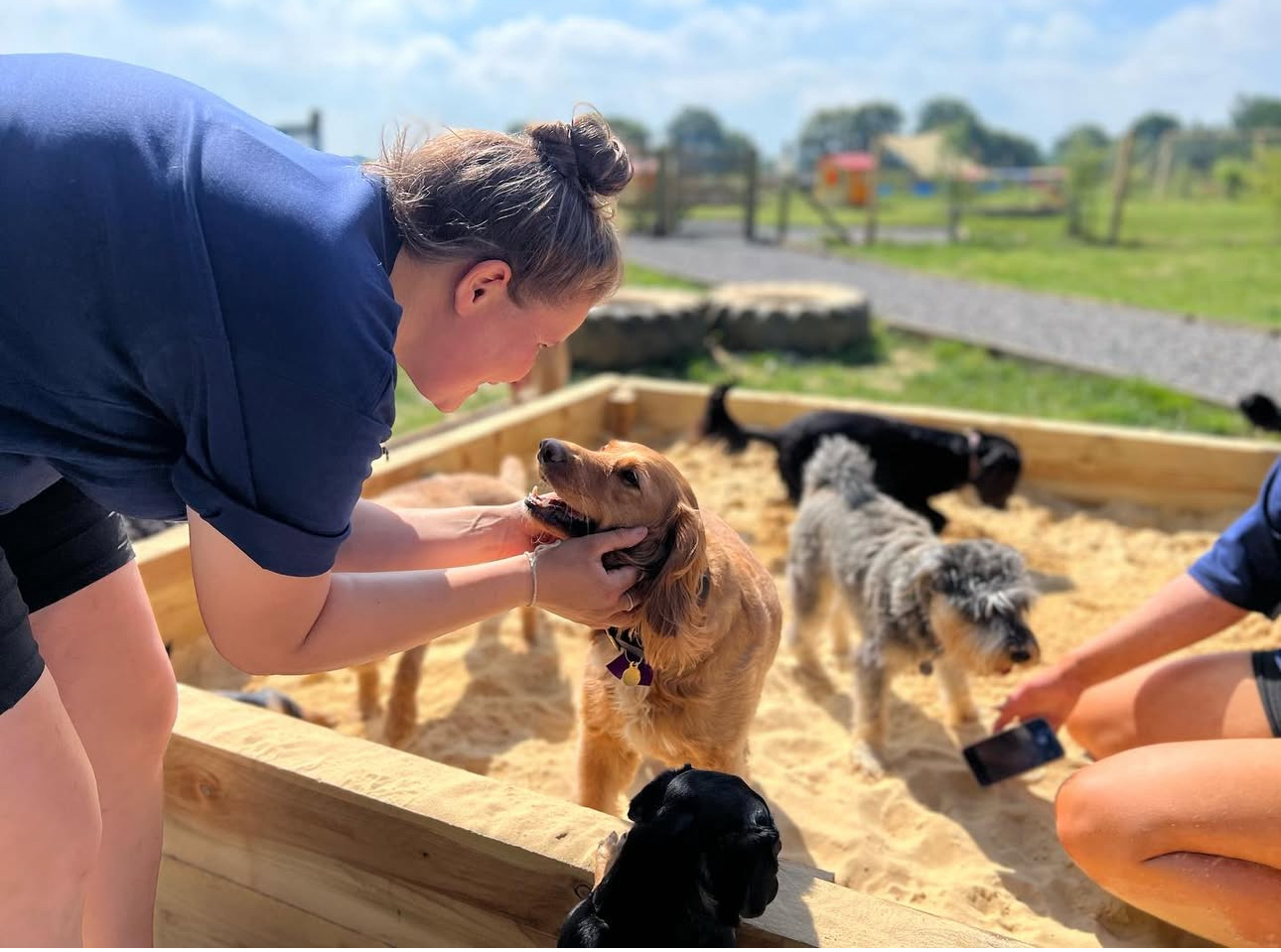 doggy day care sevenaoks